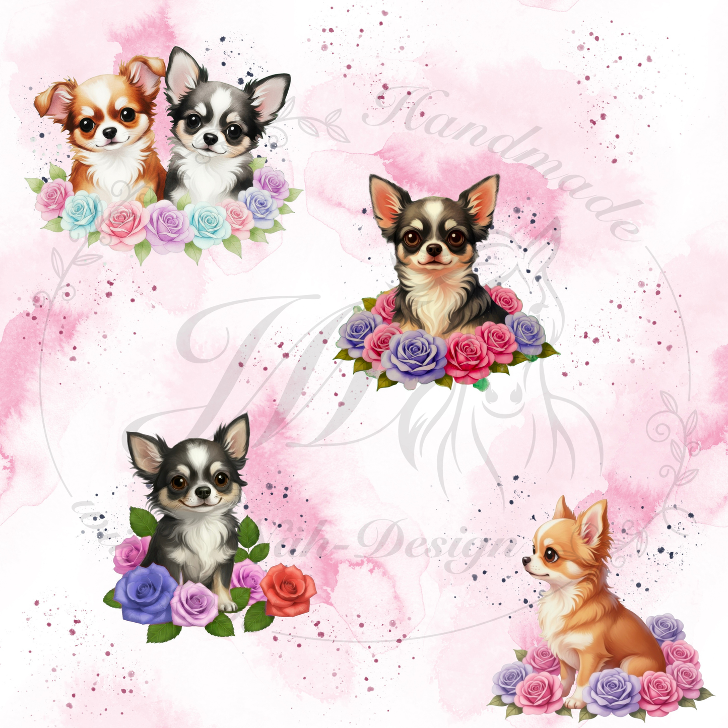 Blumen Chihuahuas