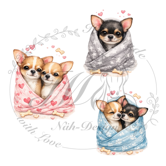 Bügelbild Kuschel Chihuahuas