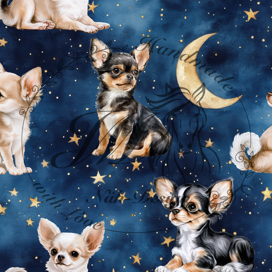 Chihuahua Night