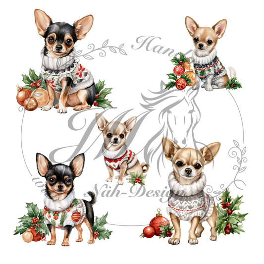 Bügelbild Christmas chihuahuas